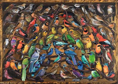 Ravensburger Rainbow of Birds - puzzle image