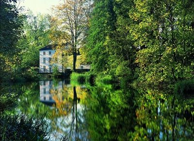 Ravensburger Seasonal Serenity - obrázek puzzlí