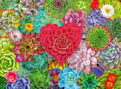 Ravensburger Succulent Love - puzzle image