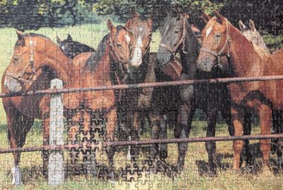 Schmidt Chevaux - obrázek puzzlí