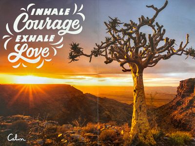 Spin Master Calm - Quiver Tree - obrázek puzzlí