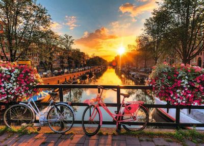 Trefl Bicycle in Amsterdam - obrázek puzzlí