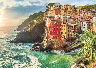 Trefl Tangerine Aroma - imagen del puzzle