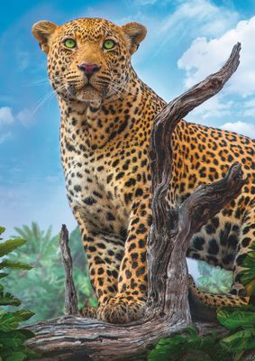 Trefl Wild Leopard - Puzzlebild