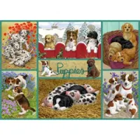 Falcon happy puppies - obrázek puzzlí