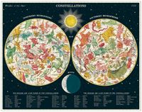 Cavallini & Co. Constellations - obrázek puzzlí