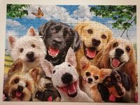 Ravensburger Delighted Dogs - puzzle image