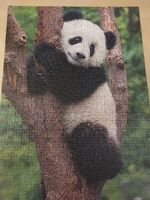 Ravensburger Panda and koala - obrázek puzzlí