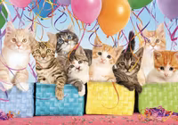 Buffalo Games Kitten Surprise - obrázek puzzlí