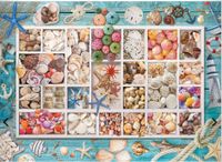 Eurographics Seashell collection - puzzle image