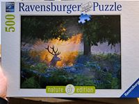 Ravensburger Magical Light - puzzle image