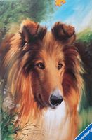 Ravensburger Lassie - obrázek puzzlí