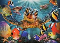 Unknown Sea Turtles - puzzle image
