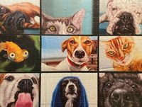 Buffalo Games Pet's Virtual Hangout - Puzzlebild