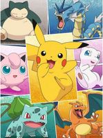 Nathan Types de Pokemon - obrázek puzzlí