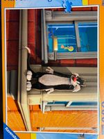 Ravensburger On watch - puzzle image