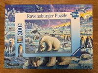 Ravensburger Polar Animals Gathering - puzzle image