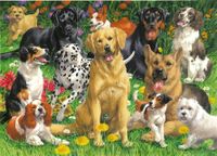 Bits and Pieces Man's Best Friend - obrázek puzzlí