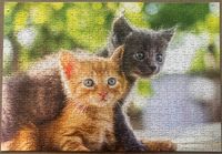 TCG Toys Kittens - imagen del puzzle