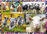 Trefl Zábavná zvířata (Funny Animals) 4 - obrázek puzzlí