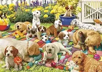 Buffalo Games Adorable Animals: Puppy Playground - puzzle image