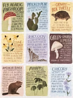 1canoe2 Flora + Fauna Facts - obrázek puzzlí