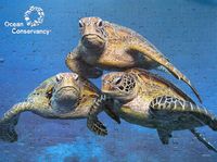 Ocean Conservancy Hawaiian Sea Turtles - puzzle image