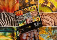 Buffalo Games Animal Grid - obrázek puzzlí