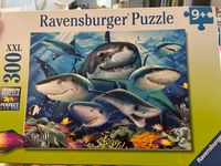 Ravensburger Smiling Sharks - obrázek puzzlí