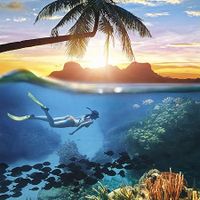 Buffalo Games Into the Blue - obrázek puzzlí