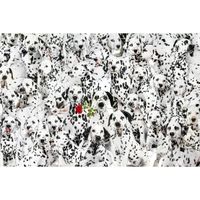 Cra-Z-Art Lots of Spots - obrázek puzzlí