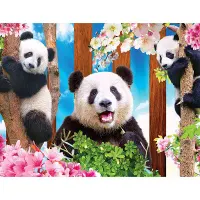 Kodak Panda Playtime - puzzle image