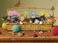 Cobble Hill Basket Case - puzzle image