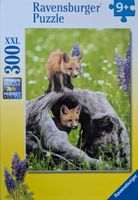 Ravensburger Curious Foxes - puzzle image