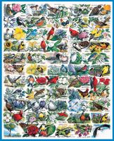White Mountain State Birds and Flowers - Puzzlebild