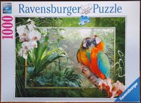 Ravensburger Cozy Macaws - puzzle image
