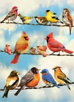 Cobble Hill Birds on a wire - puzzle image