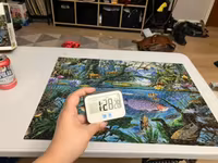 Ceaco Wild Blue - obrázek puzzlí