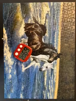 Masterpieces Wave Dancers - obrázek puzzlí