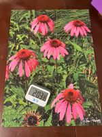 Perfect Peace Puzzles Pink Blooms - obrázek puzzlí
