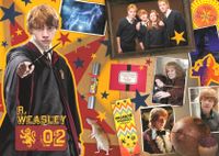 Trefl Harry Potter 3-in-1: Ron - puzzle image