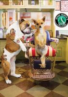 Sure-Lox Chihuahua Tattoo - puzzle image