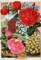 Sure-Lox Seed Catalogue Collection - Cottage Rose Garden - obrázek puzzlí