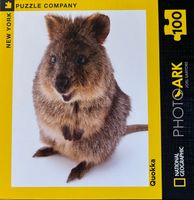 New York Puzzle Company Quokka - obrázek puzzlí
