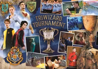 Trefl Harry Potter 3-in-1: Triwizard Tournament - image du puzzle