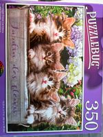 Puzzlebug Norwegian Forest Cat Kittens - puzzle image