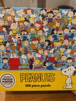 RoseArt Peanuts Cast of Characters - puzzle image