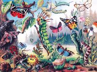 New York Puzzle Company Metamorphosis - puzzle image