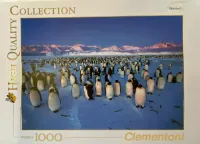 Clementoni Penguin colony - puzzle image