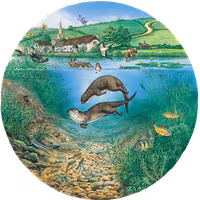 Grovely River in the Summer - puzzle image